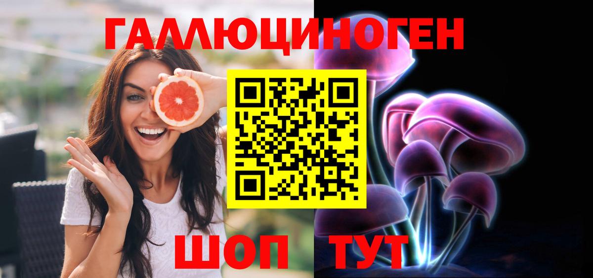Псилоцибиновые грибы Psilocybe  Псилоцибиновые грибы ЛСД  цена наркотик  Вход с VPN  Морозовск 